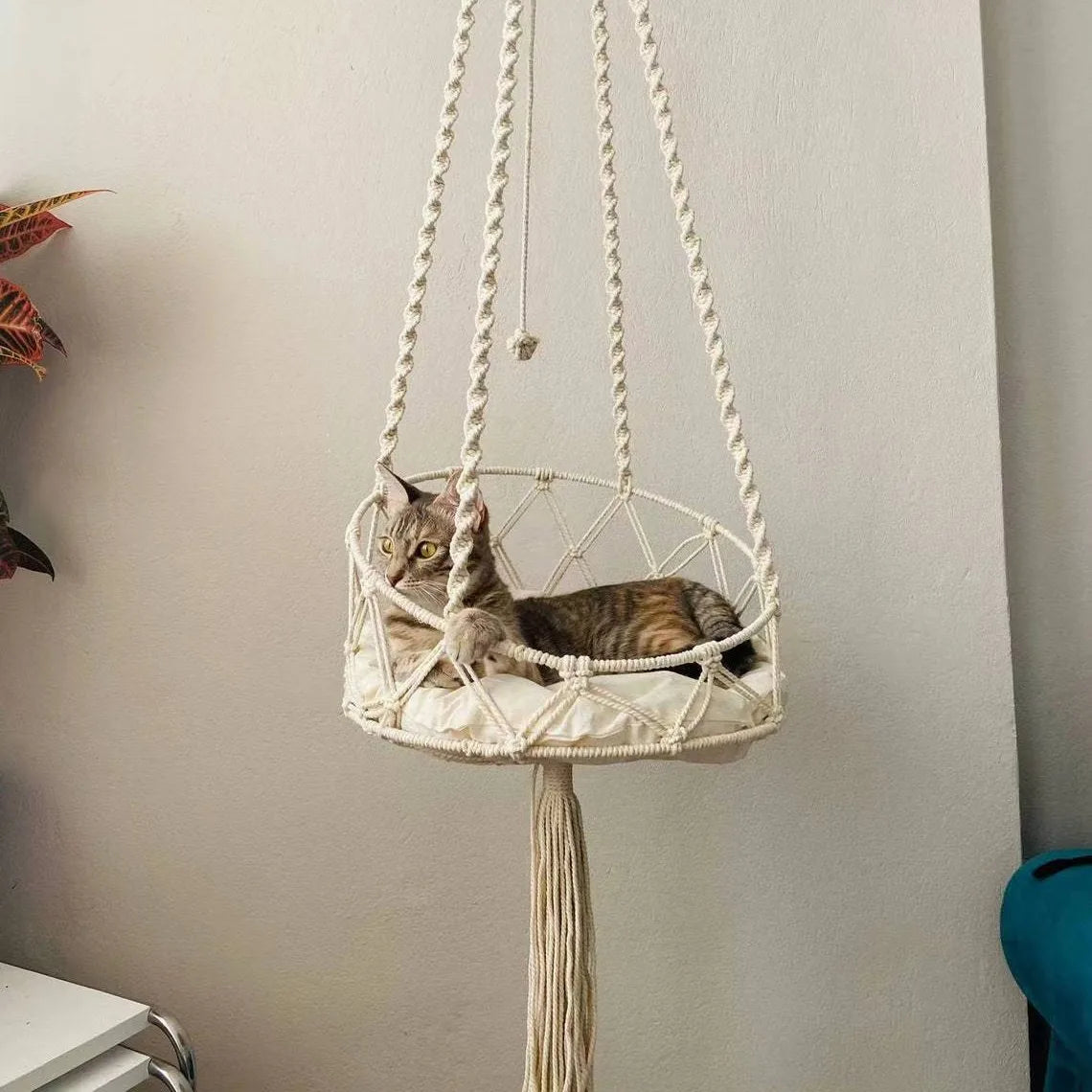 Handmade Woven Cat Hanging Basket Pet - MyPetDollar.com