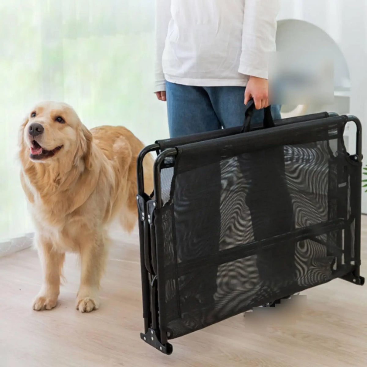 Foldable Industrial Bed Breathable Elevated - MyPetDollar.com
