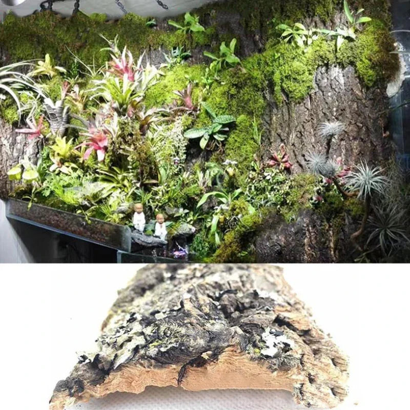 2Pcs Natural Tree Bark Aquarium Decoration - MyPetDollar.com