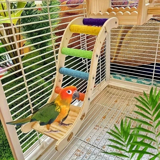 Parrot Frosted Ladder Toy Climbing Platform - MyPetDollar.com