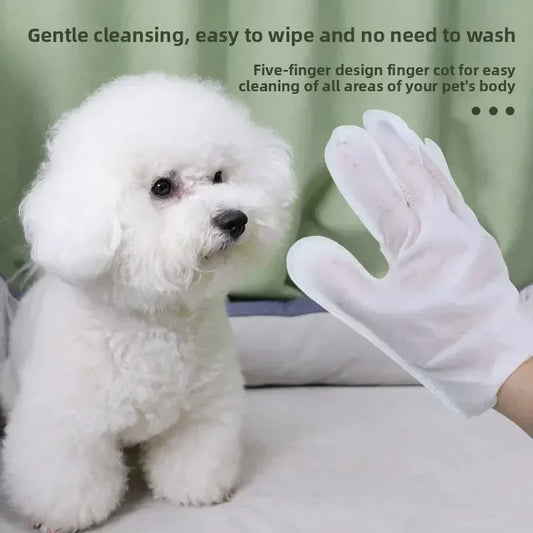 Pet Disposable Glove Wipes No Rinse Cat Dog - MyPetDollar.com