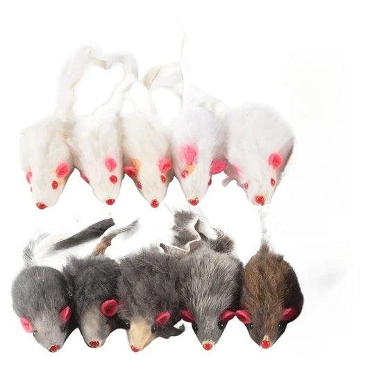 Plush Mouse Cat Toys, Pet Toys, Children's - MyPetDollar.com