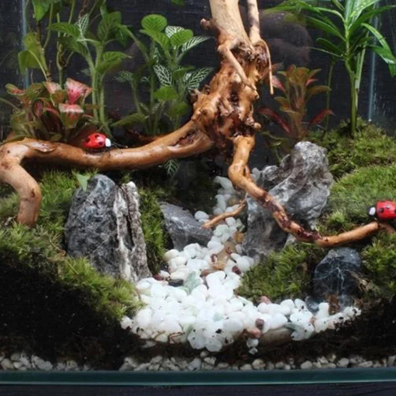 Natural Tree Trunk Driftwood Aquarium Fish - MyPetDollar.com