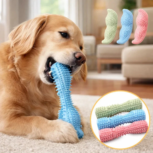 Durable Dog Chew Stick, Toothbrush for Tooth - MyPetDollar.com