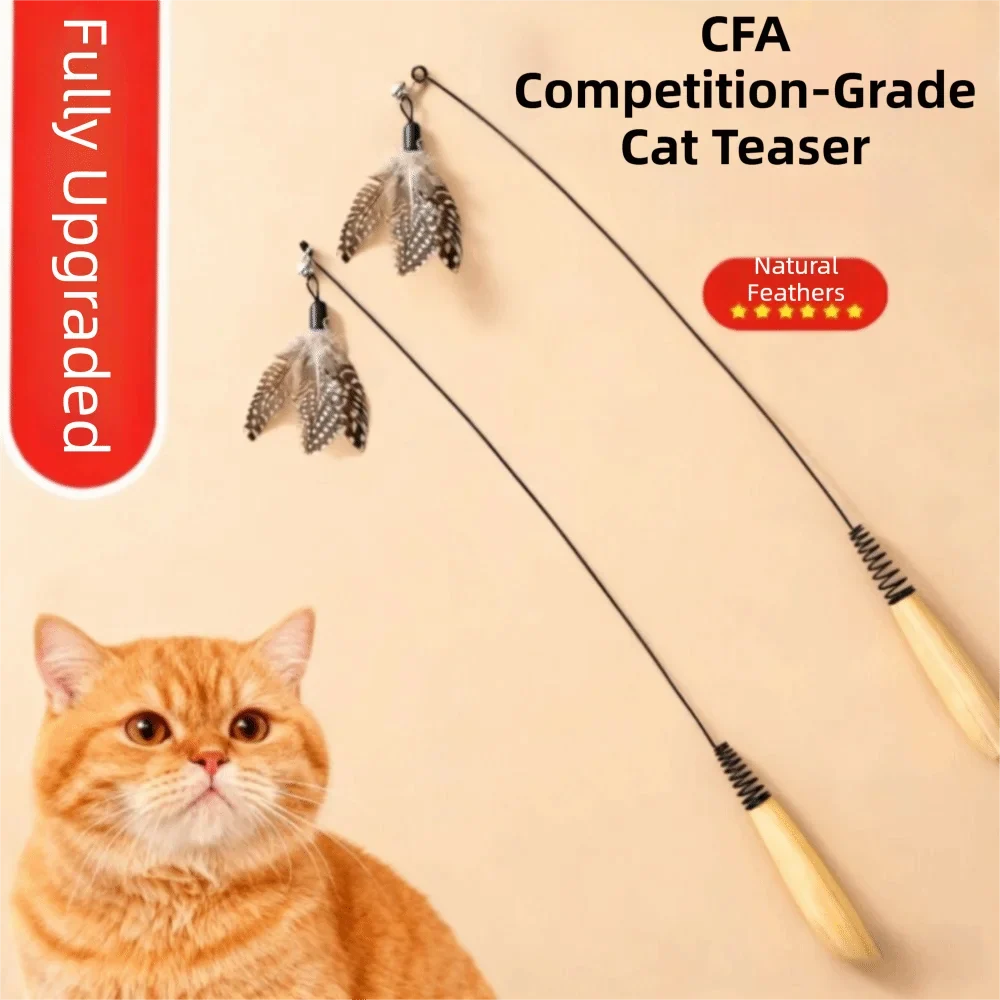 Wooden Handle Spring Teasing Cat Stick - MyPetDollar.com