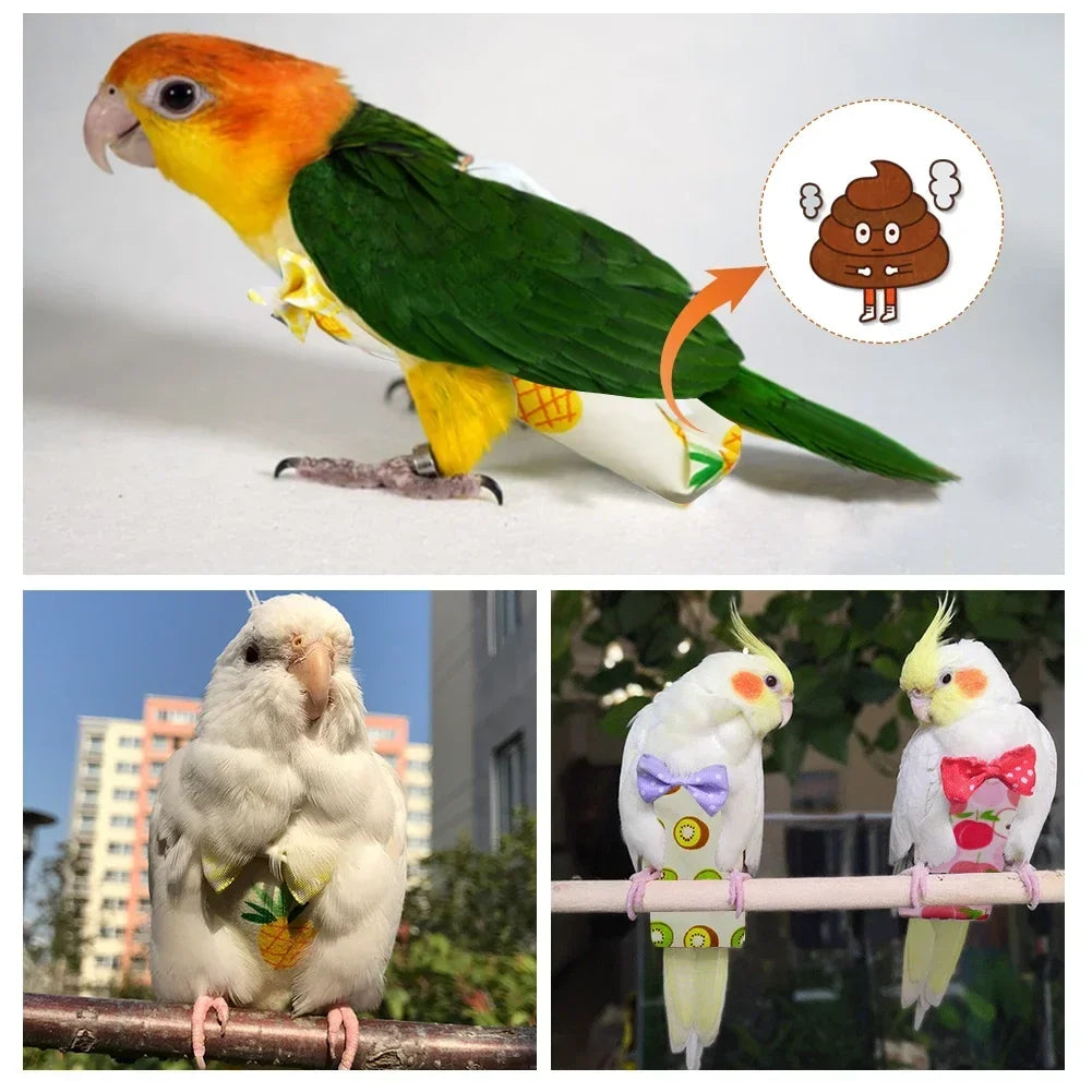 Parrot Diaper Flight Suit Diaper Clothes - MyPetDollar.com