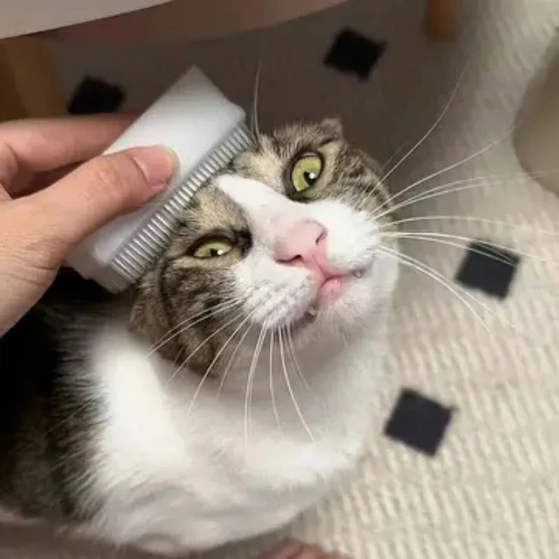 Cat Massage Brush Tongue Sensory Cleaning - MyPetDollar.com