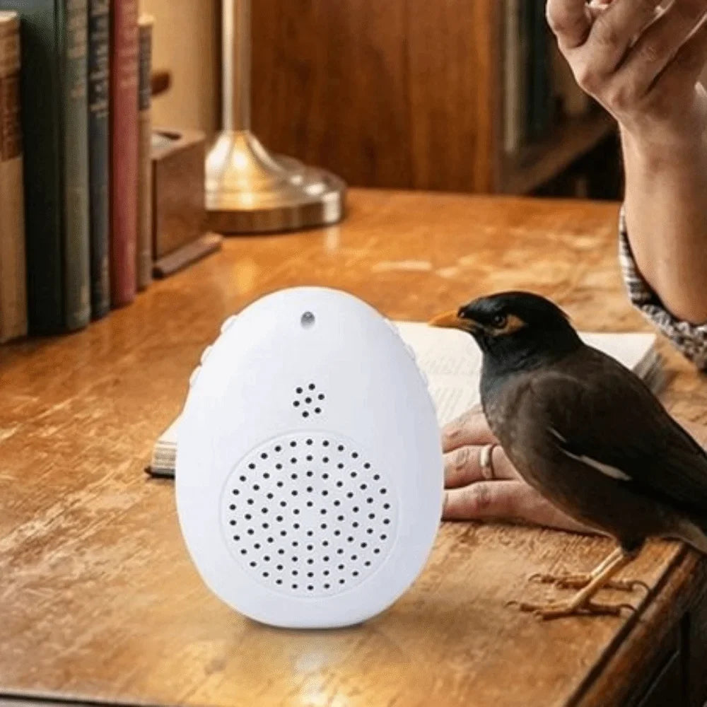 Recording Bird Learning Ma Playback - MyPetDollar.com