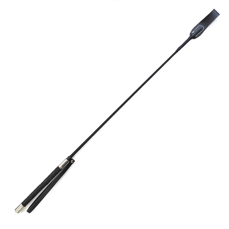 Long Straight Whip for Horse Training, Metal - MyPetDollar.com