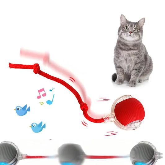 Interactive Dog Toys USB C Rechargeable Pet - MyPetDollar.com