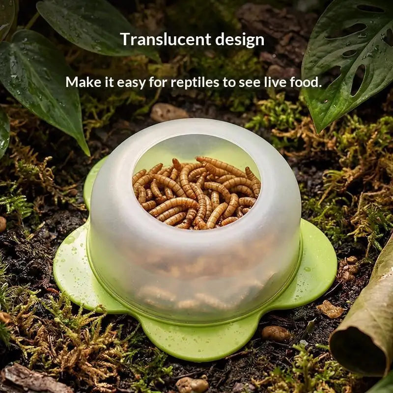 【CC】1Pcs ABS Reptile Feeding Dish Anti - MyPetDollar.com