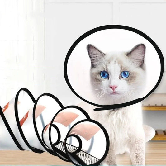 Prevent BiteTransparent Dog Cat Protection - MyPetDollar.com