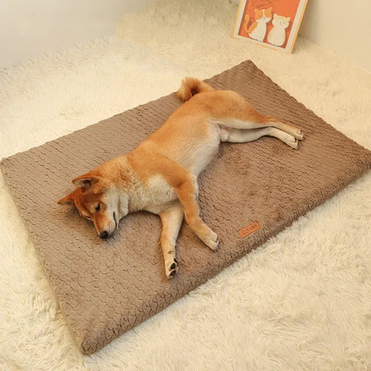 Winter Short Plush Removable Washable Pet - MyPetDollar.com