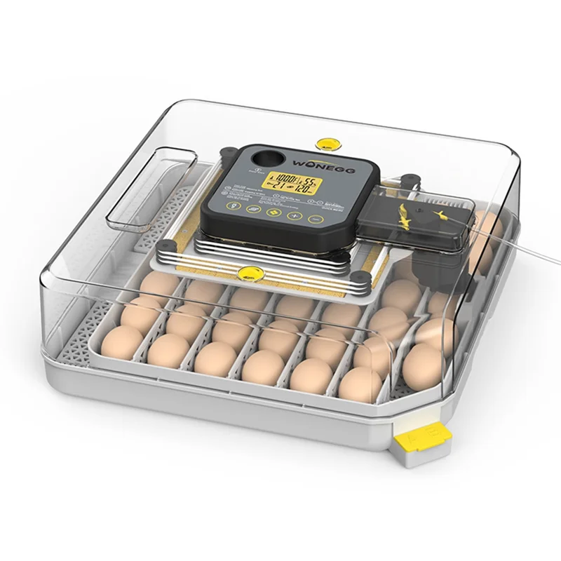 B62B-Egg Incubator For Hatching Eggs With - MyPetDollar.com