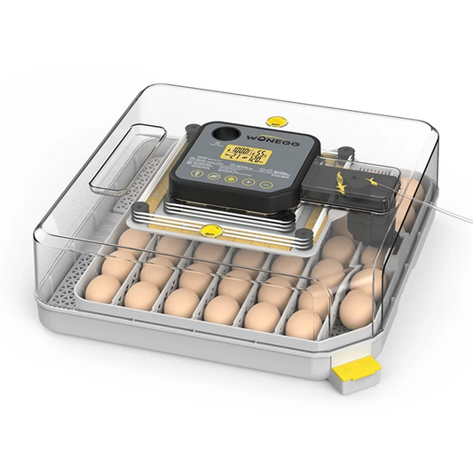 B62B-Egg Incubator For Hatching Eggs With - MyPetDollar.com