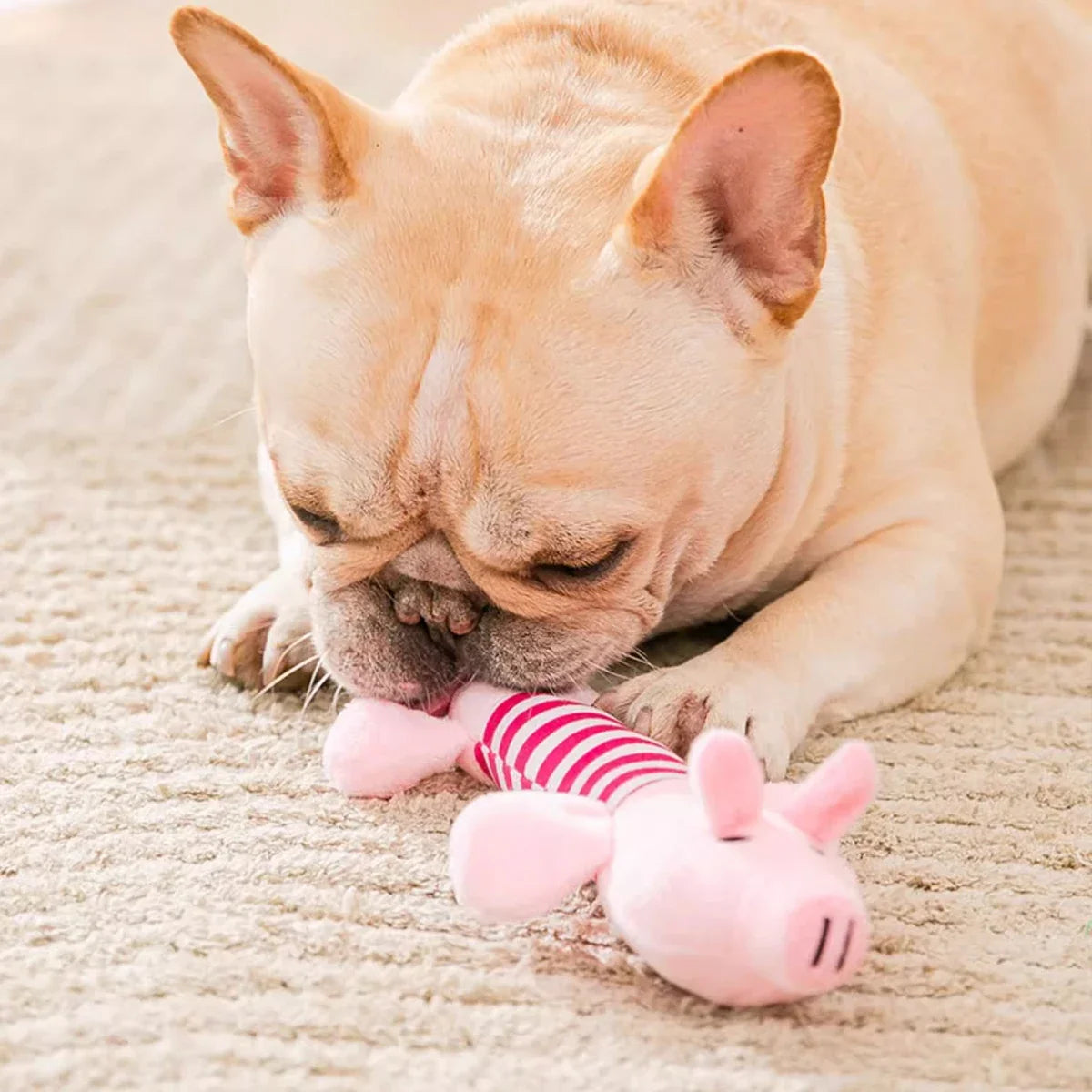 3/1Pack Animal Squeaky Toys for Dogs - MyPetDollar.com