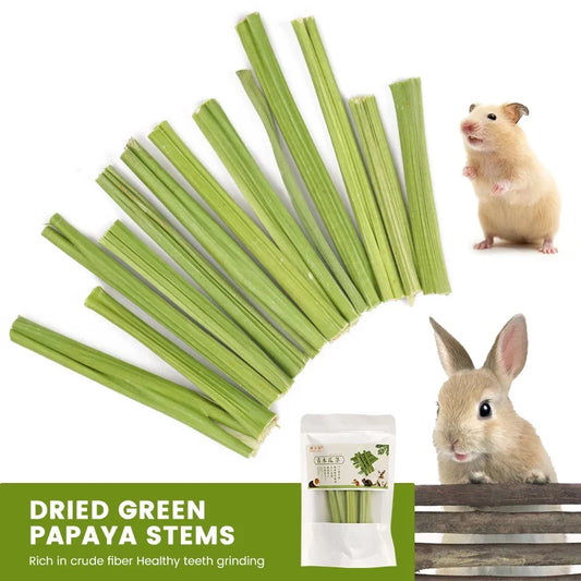 20g Pet Teeth Grinding Papaya Stem Natural - MyPetDollar.com