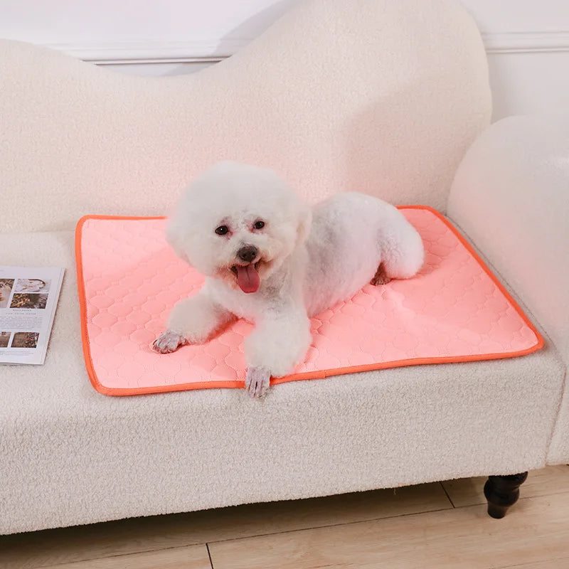 Reusable Pet Diaper Mat Dog Mat Washable Dog - MyPetDollar.com