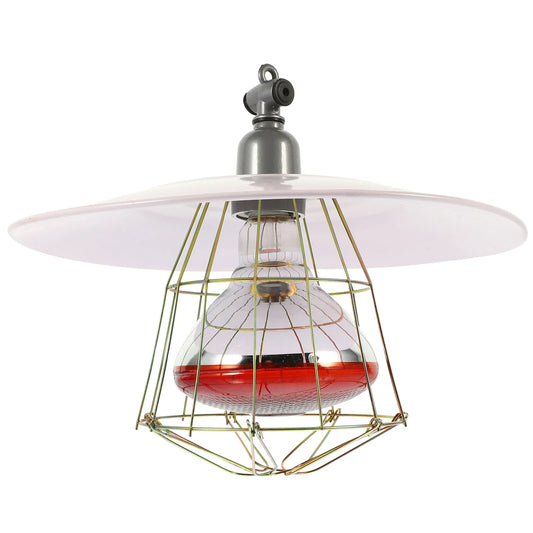 250W Pcs Insulating Lamp Set Durable Metal - MyPetDollar.com