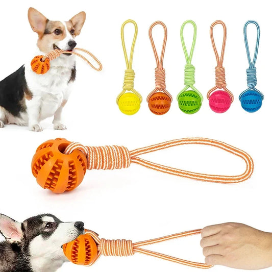Leash dog toy Rubber leaky ball Pet products - MyPetDollar.com