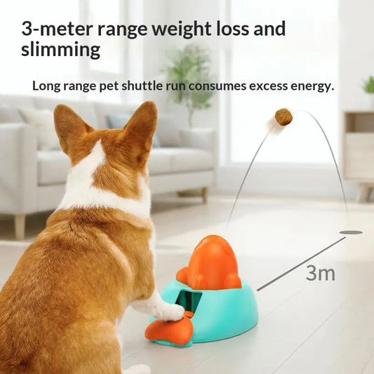Interactive Dog Puzzle Toys IQ Treat Ball - MyPetDollar.com