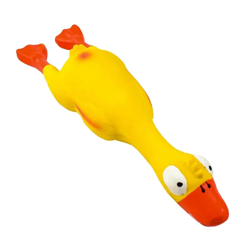 Squeaky Dog Rubber Toys Bite Resistant Dog - MyPetDollar.com