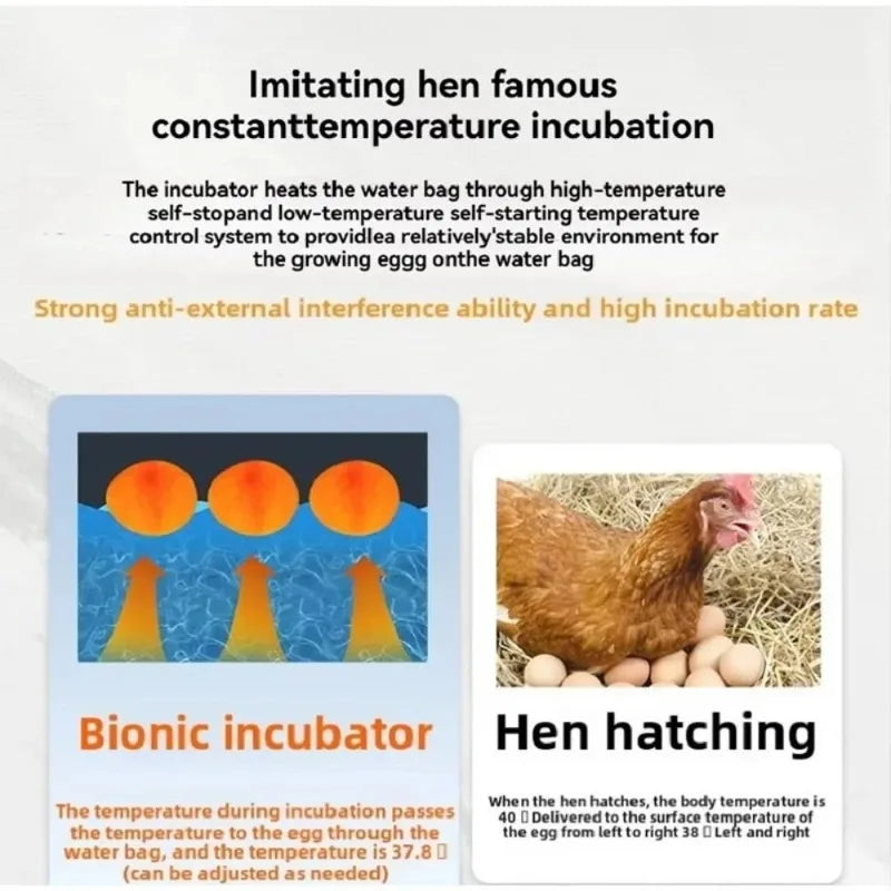 Waterbed Egg Incubator Provides Precise - MyPetDollar.com