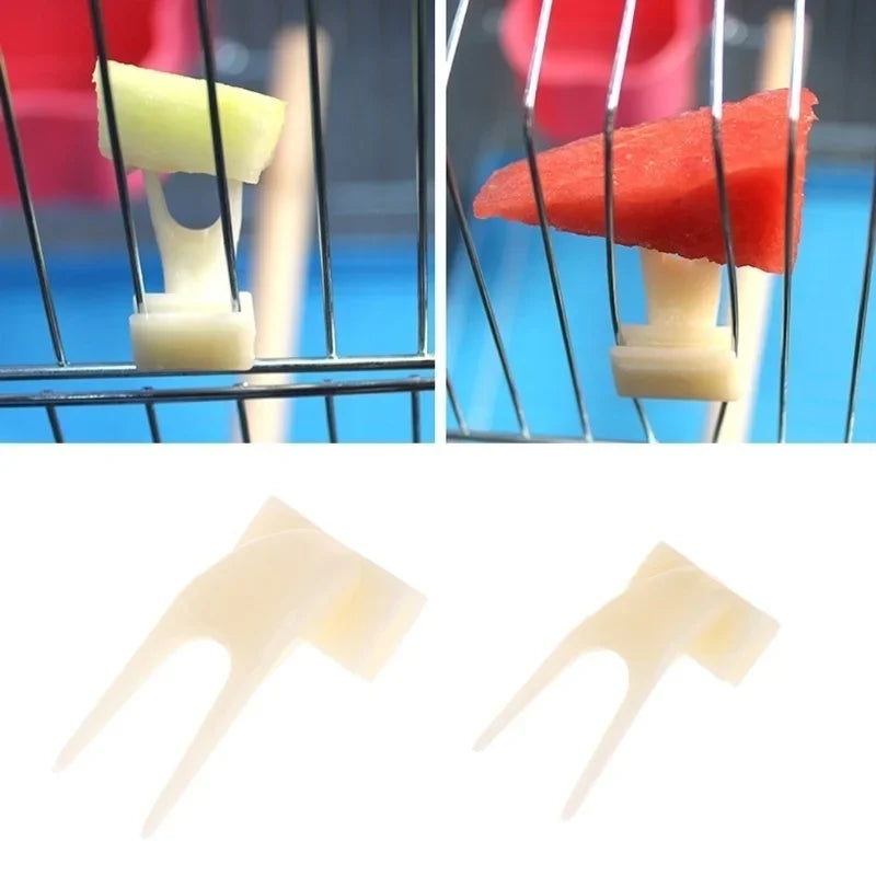 4/20pcs Bird Feeding with Fruit Forks 4 Pack - MyPetDollar.com