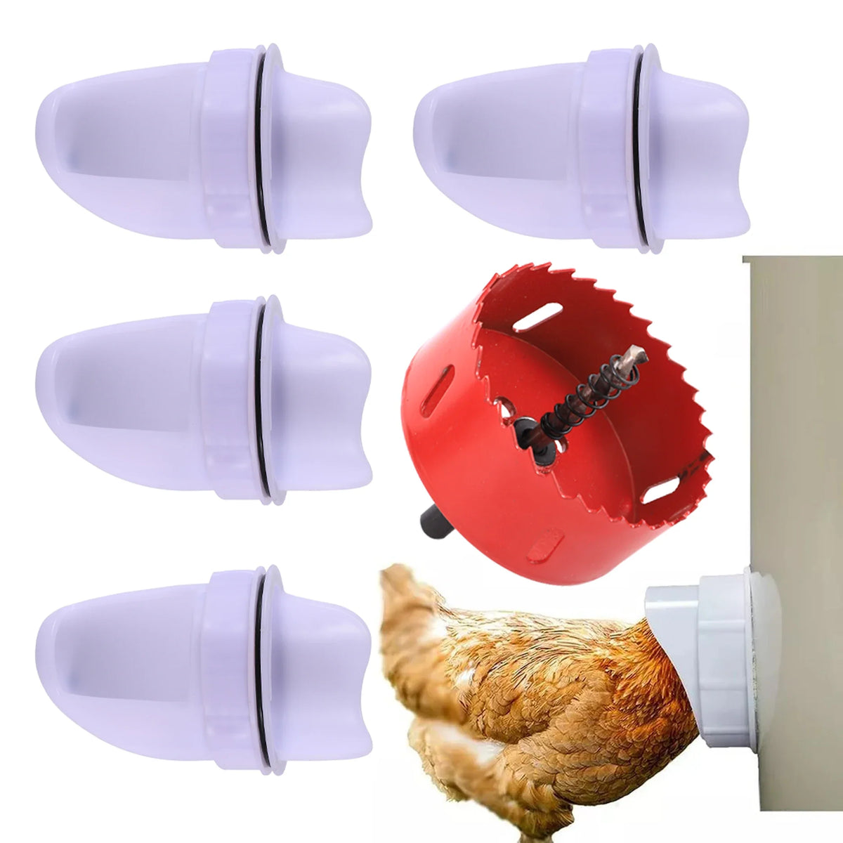 Chicken Feeder Poultry Feeding Supplies DIY - MyPetDollar.com