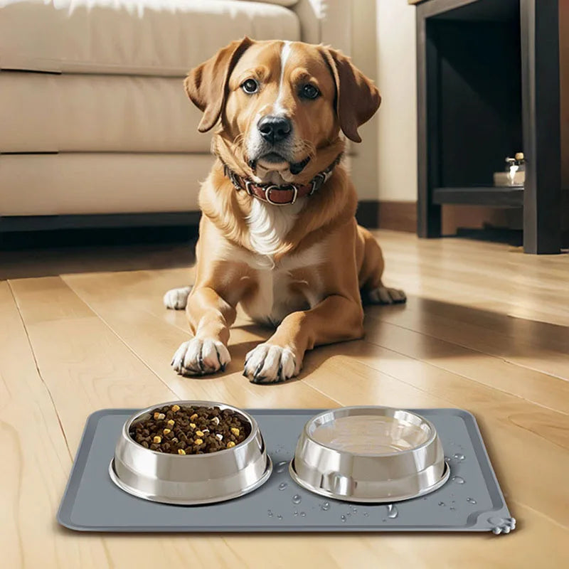 Silicone Dog Bowl with Raised Edge Non-Slip - MyPetDollar.com