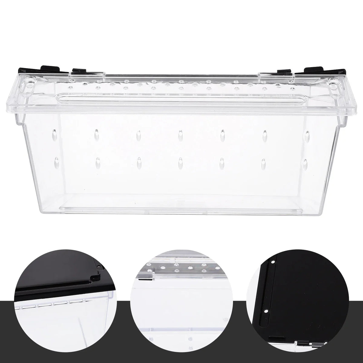 ABS Reptile Breeding Box Lightweight - MyPetDollar.com