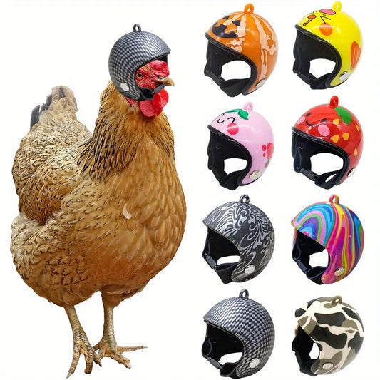 Helmet Chicken Pet Supplies Protection - MyPetDollar.com