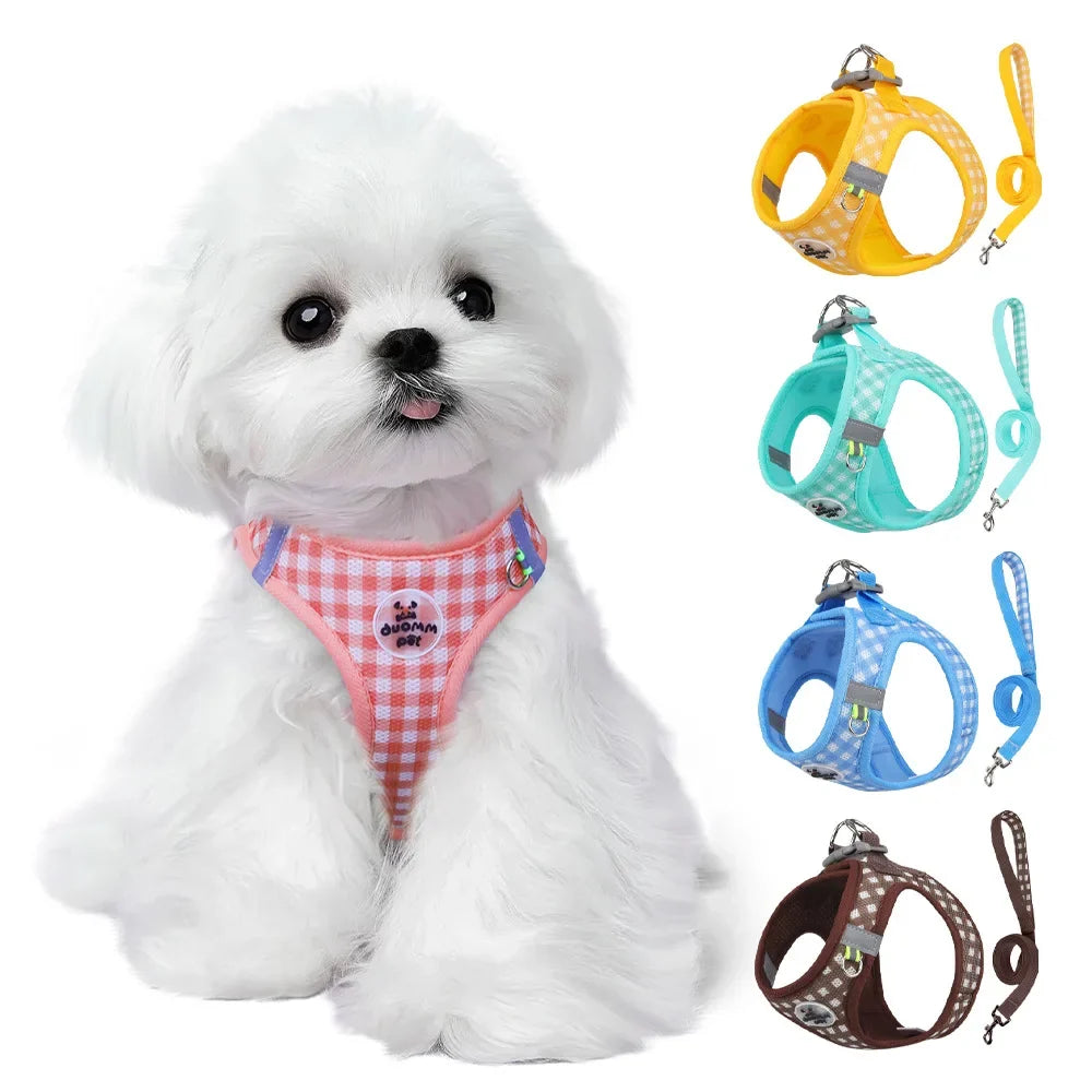 Checkered Pet Harness Cat Leash Small Dog - MyPetDollar.com