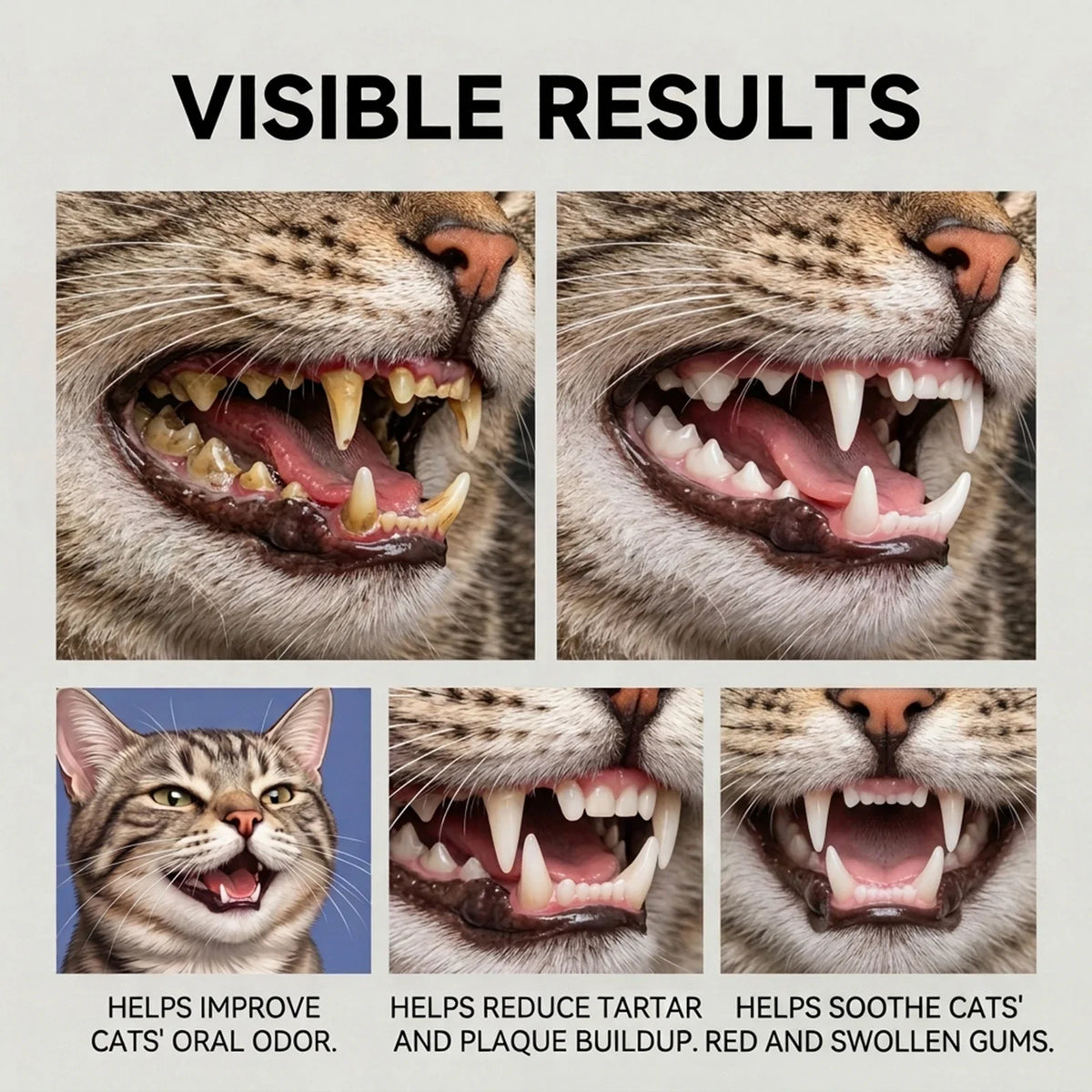 Cat Oral Care Spray Effectively Remove - MyPetDollar.com