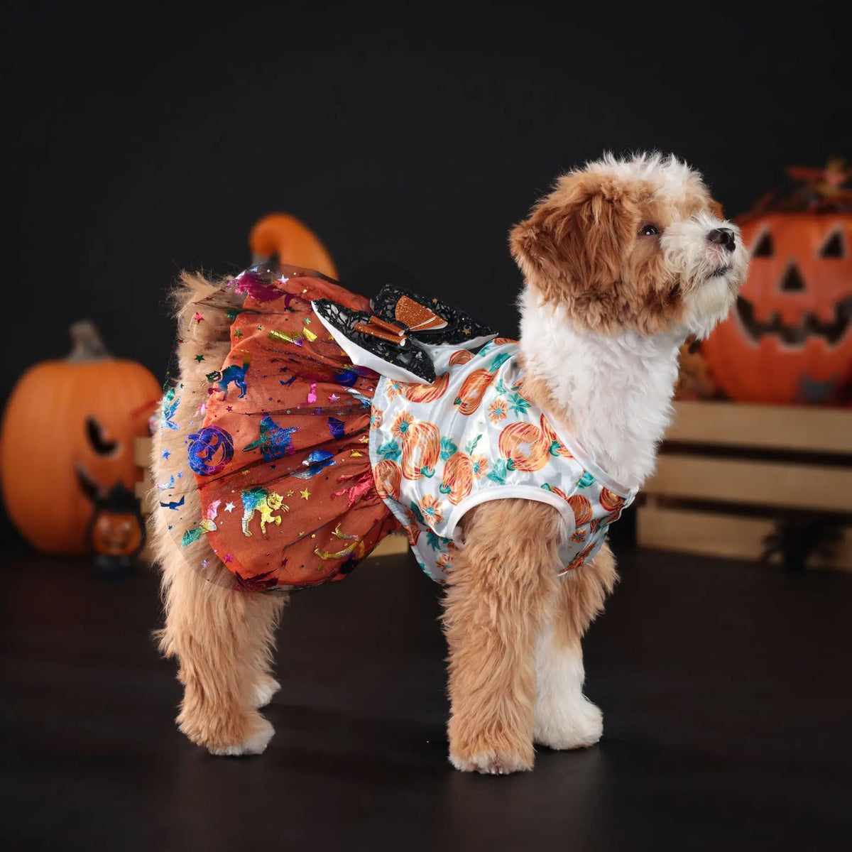 Cute Pet Halloween Ghost Pumpkin Skirt Dress - MyPetDollar.com