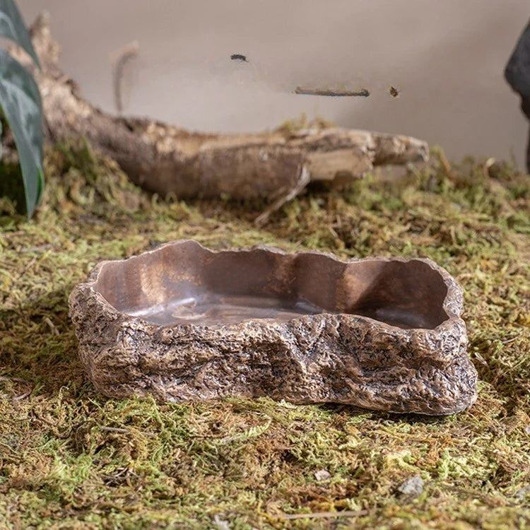 Natural Rock Reptile Water Dish & Food Bowl - MyPetDollar.com