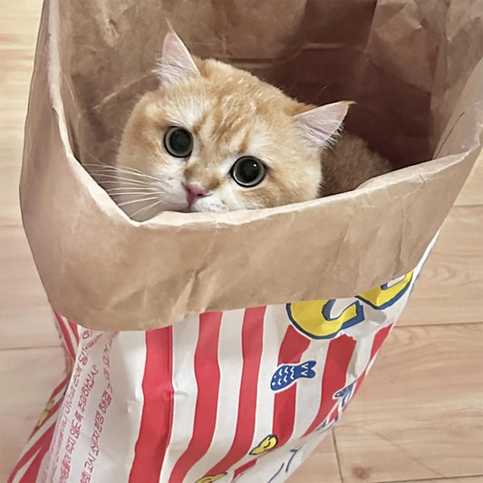 Interactive Crinkle Cat Bag Rustling Paper Sack Foldable, Portable