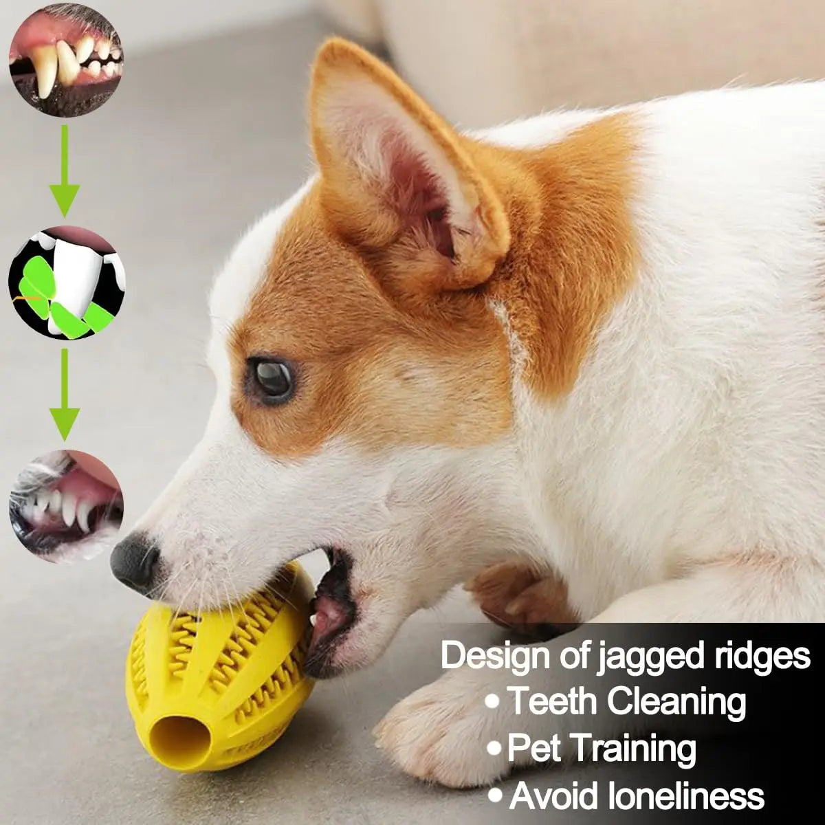 Pet Dog Chew Toys Teeth Cleaning Snack Ball - MyPetDollar.com