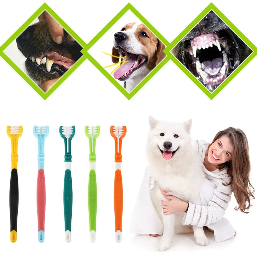 Three Sided Pet Toothbrush Three-Head - MyPetDollar.com