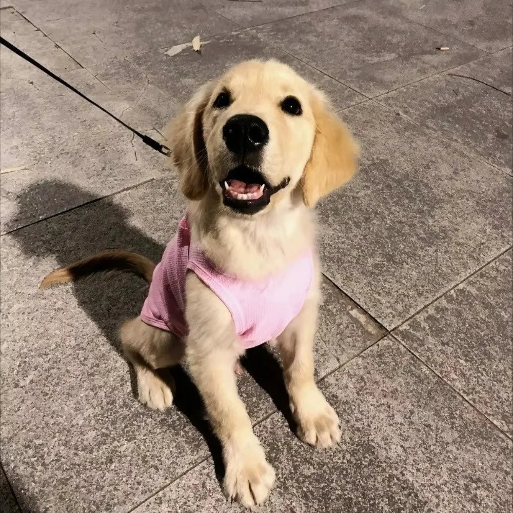 New Soft Cat Vest Cotton Elastic Dog Outfits - MyPetDollar.com