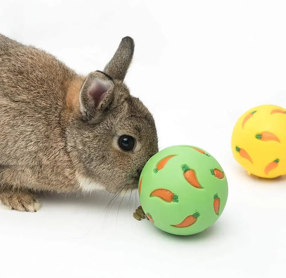 1pcs Rabbit Treat Ball Pet Slow Feeder - MyPetDollar.com