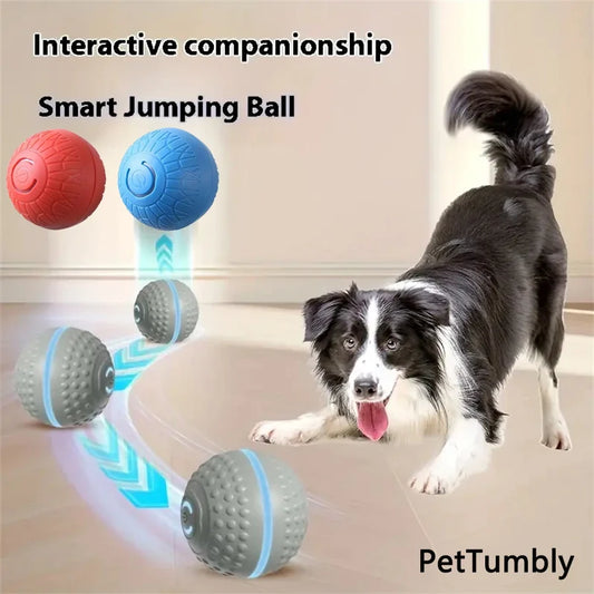 Smart Dog Toy Ball Automatic Interactive Pet - MyPetDollar.com