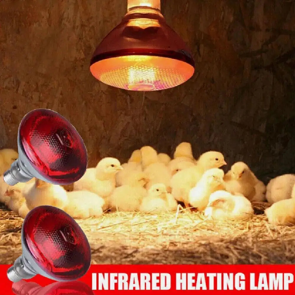 100w 150w 175w 200w 250w 275w Pet Red - MyPetDollar.com
