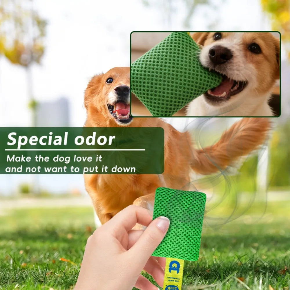 Dog Scent Training Pouch, Mesh Sniff - MyPetDollar.com