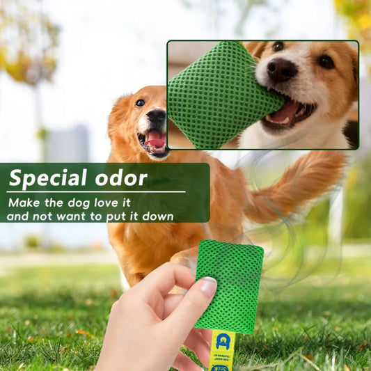 Dog Scent Training Pouch, Mesh Sniff - MyPetDollar.com