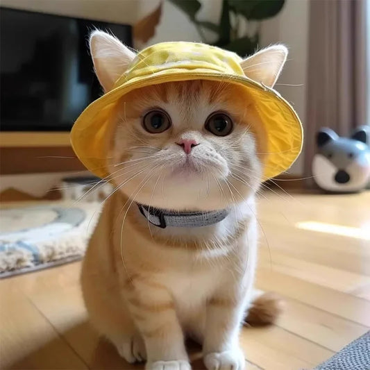 Summer Pet Cat Sun Hat with Ear Holes Yellow - MyPetDollar.com