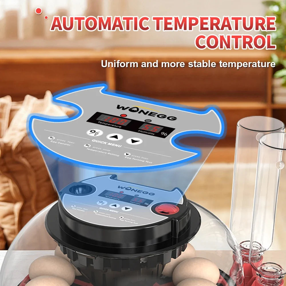 100-240V with Flashlight for Automatic 12H - MyPetDollar.com