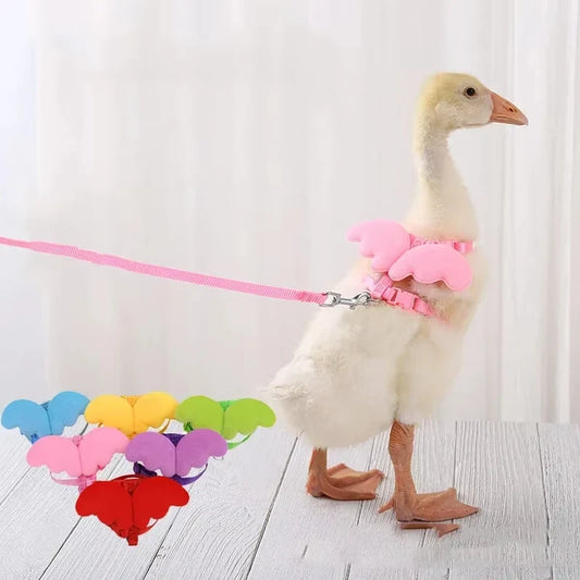 Cute Wing Duck Leash Cat Harness (multiple sizes & colors)