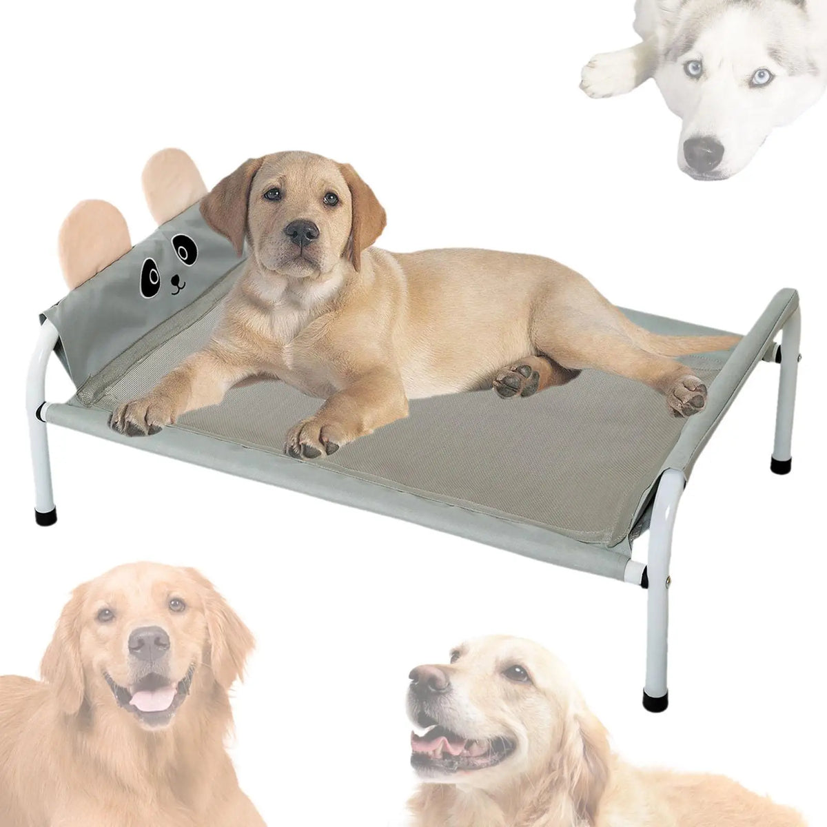 Elevated Pet Bed, Comfortable and Durable, - MyPetDollar.com