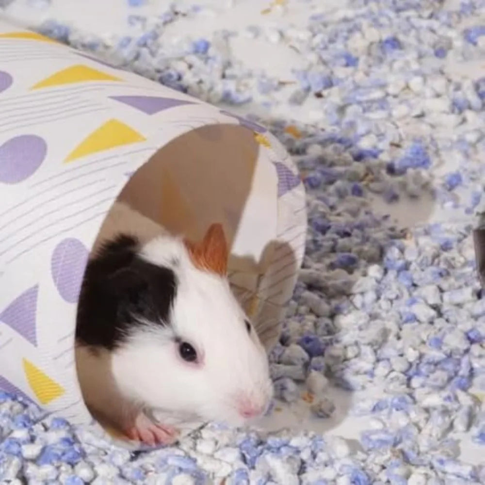 Versatile Corner Hideout Hamster Hideout - MyPetDollar.com